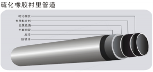 香蕉911APP简介